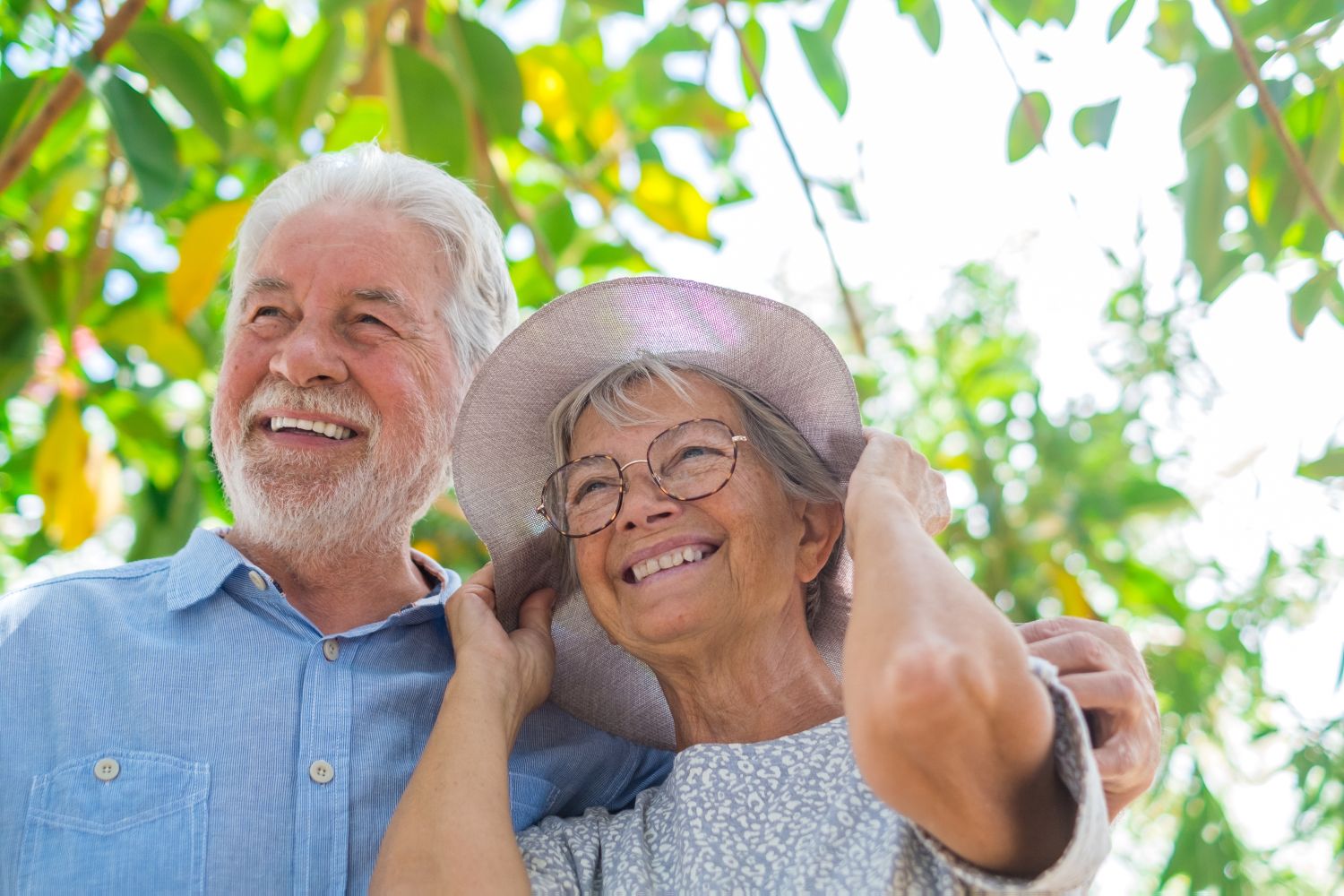 Estrogen Menopause and the Brain